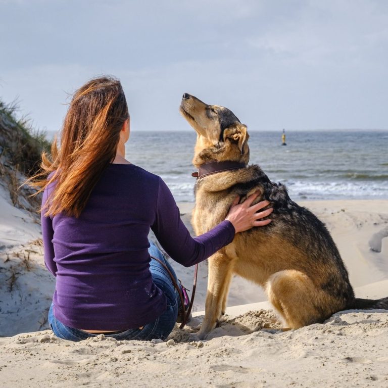 Frau sitzt am Strand und streichelt einen Hund, beide blicken in die Ferne.