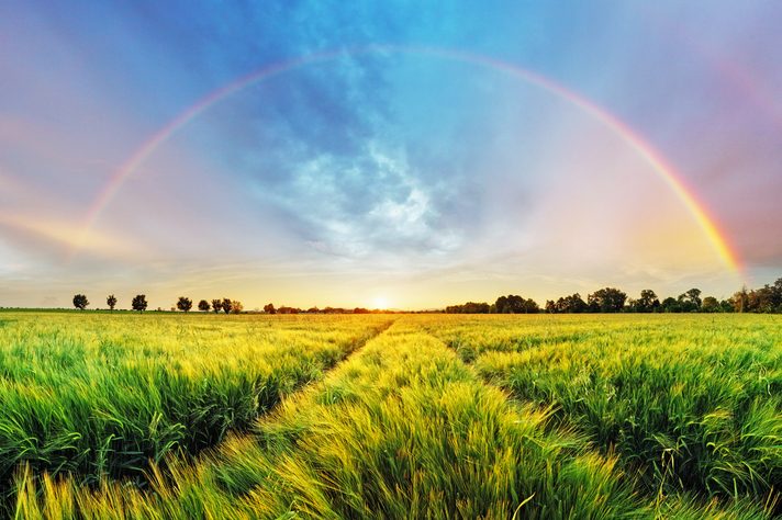 Grünes Feld unter einem bunten Regenbogen und einem strahlenden Sonnenuntergang.